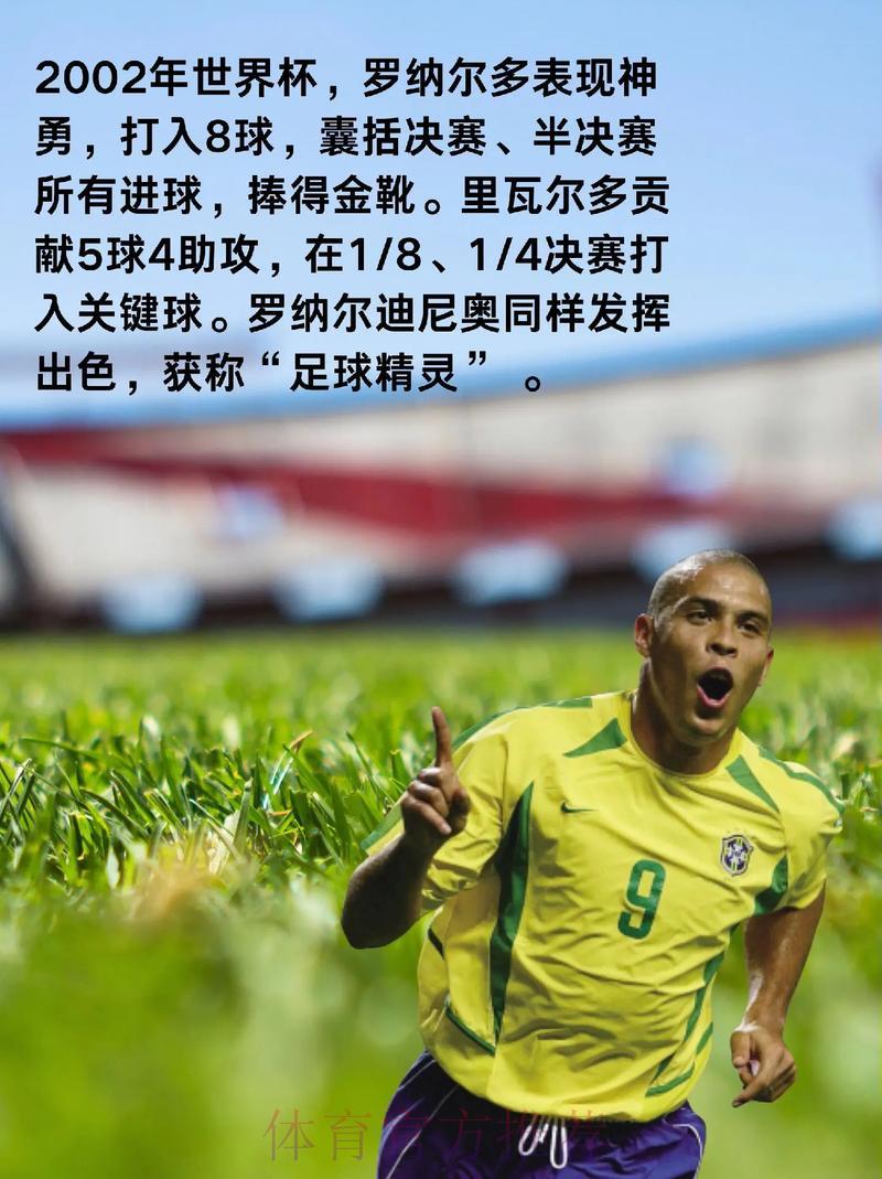 世界杯球队数据深度剖析与趋势洞察